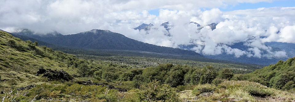 Parque Nacional Puyehue